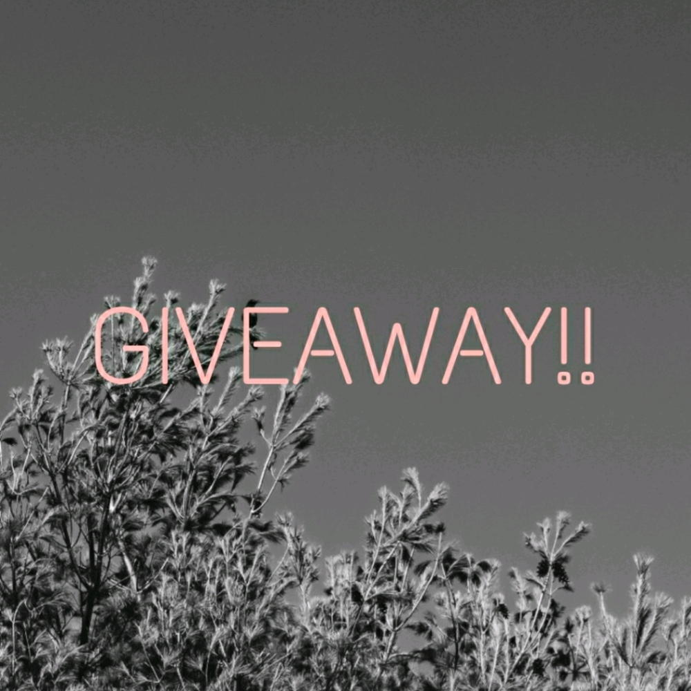 GIVEAWAY!(Ended)
